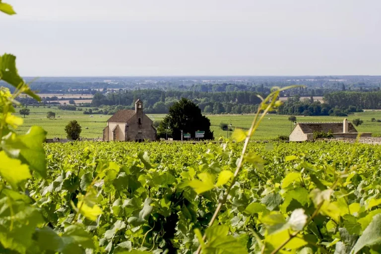 Domaine Michel Lafarge