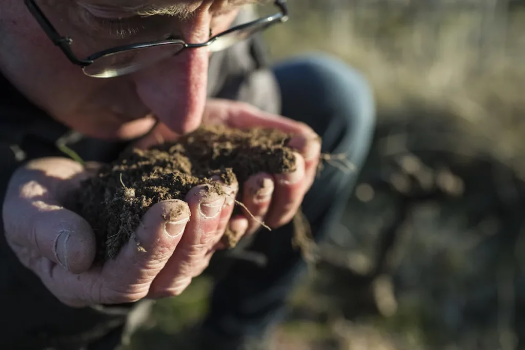 Domaine Paul Janin et Fils - Une poignée de terre du vignoble dans les mains du vigneron