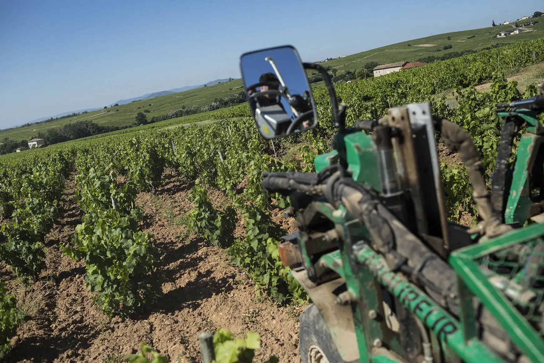 Domaine Paul Janin et Fils - Rangs de vigne et tracteur enjambeur face aux coteaux du Beaujolais