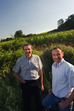Domaine Rossignol-Trapet - David et Nicolas Rossignol debout dans les vignes