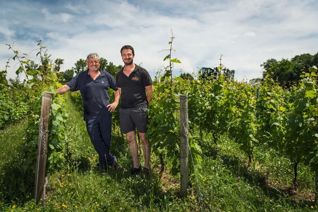 Domaine Sylvain Ravier - Deux vignerons dans un rang de vigne enherbé