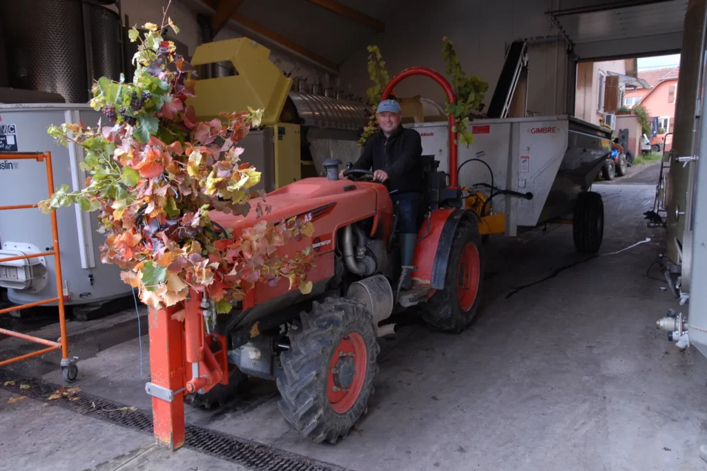 Domaine Yves Amberg - Yves Amberg au travail dans les vignes