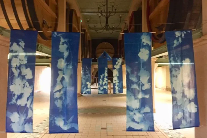 Domaines Bunan - Exposition de cyanotypes suspendus dans la salle des foudres