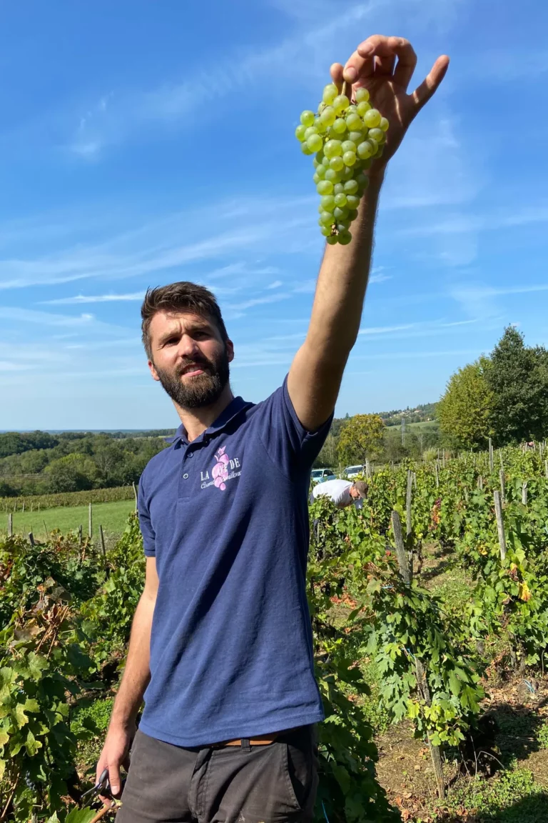 La Cave de Corentin Bouilloux