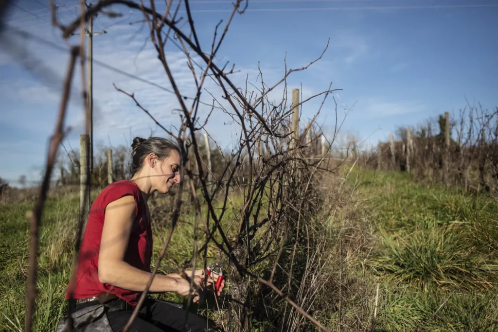La Grange de NA - Nadège Allouch à la taille dans ses vignes
