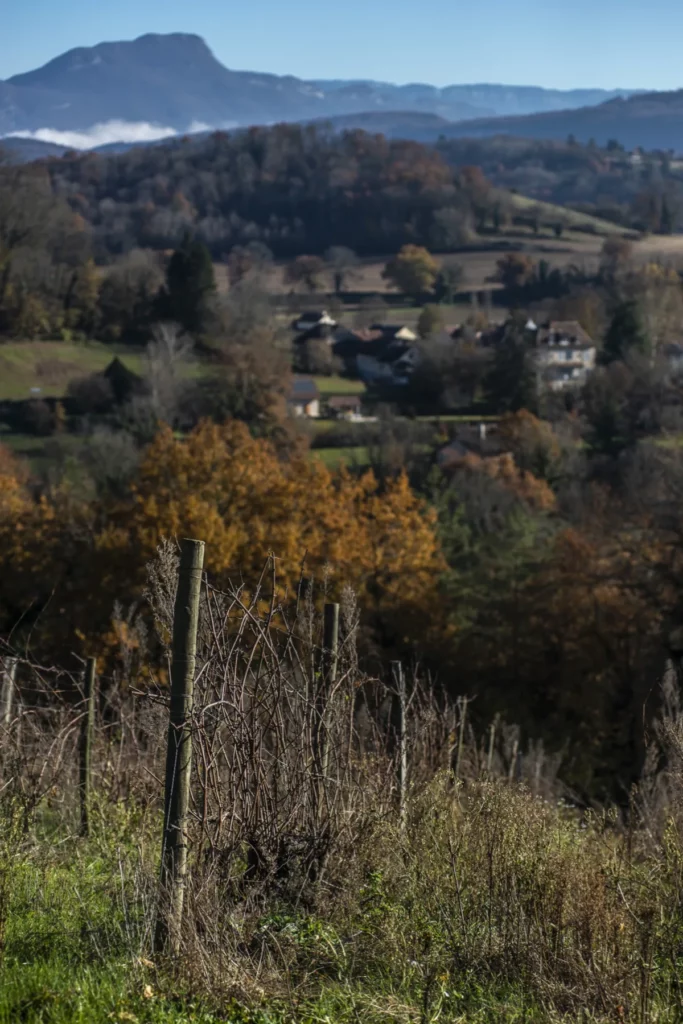 La Grange de NA - Vignes, bois et relief du Bugey à l’automne