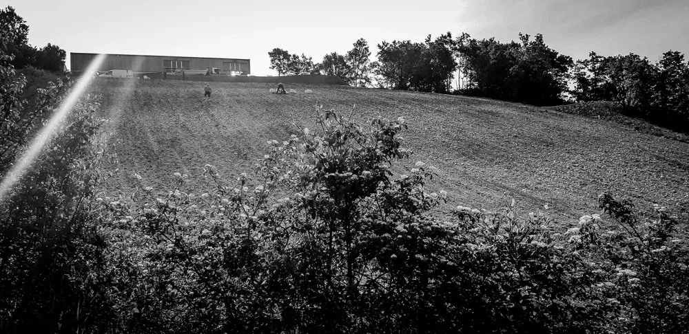 Mas del Périé - Le causse de Trespoux, sur les hauteurs de Cahors