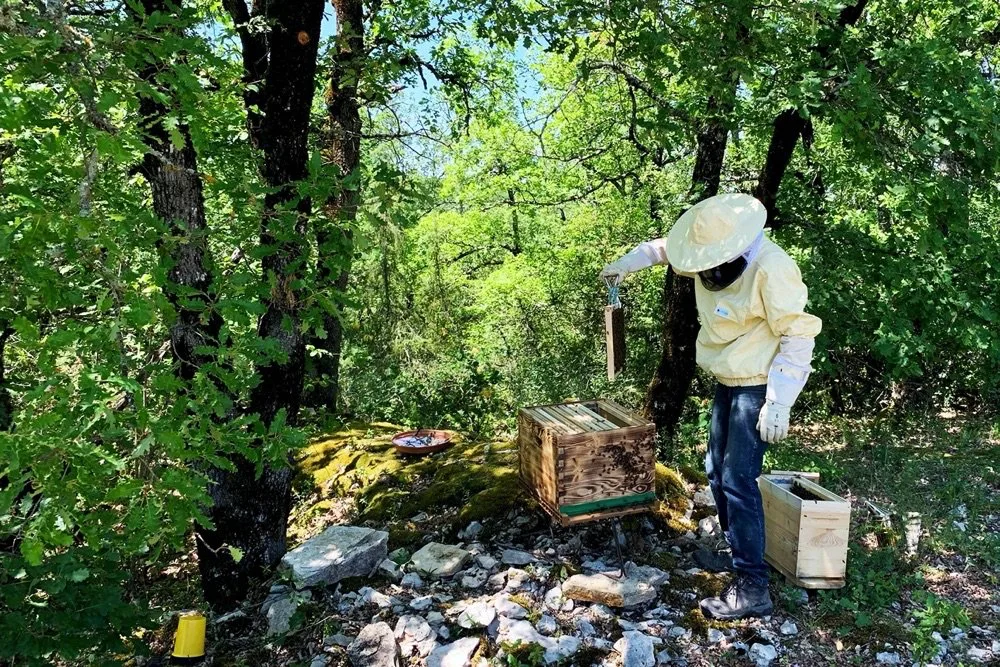 Mas del Périé - Ruches installées sur le domaine