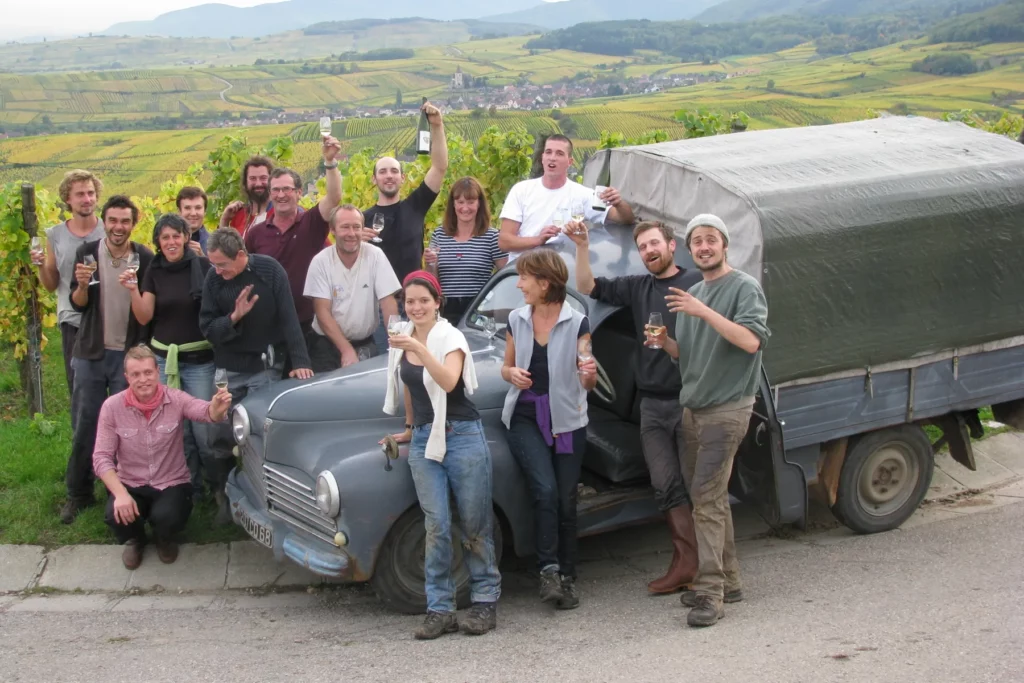Vins Henry Fuchs - L’équipe des vendanges autour d’une vieille camionnette au bord des vignes