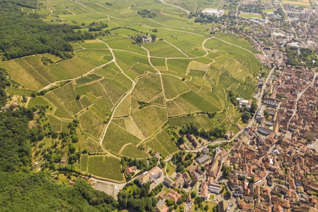 Vins Henry Fuchs - Vue aérienne du grand cru Kirchberg de Ribeauvillé au-dessus de la vieille ville