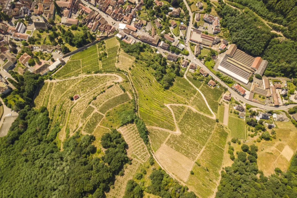 Vins Henry Fuchs - Terrasses du lieu-dit Hagel vues du ciel, entre forêt et toits de Ribeauvillé