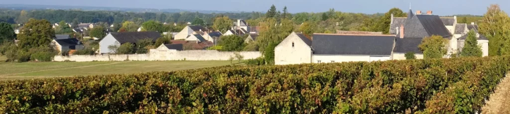 Angélique Léon - Vignes d’automne au bord d’un village
