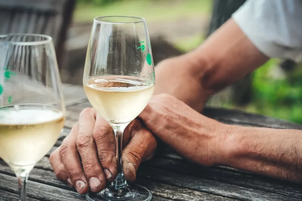 Causse Marines - Deux verres de vin blanc sur une table de bois