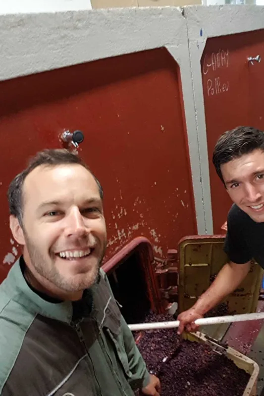 Caveau Quinard - Julien et Sébastien Quinard devant une cuve de gamay au chai