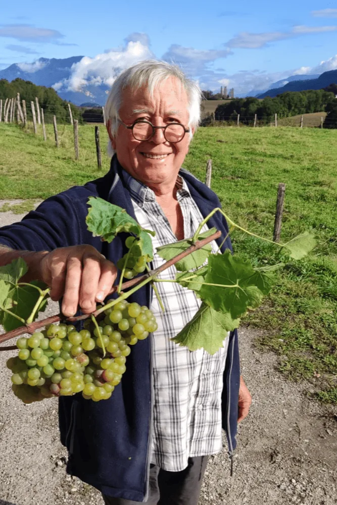 Caveau Quinard - Maurice Quinard, grappes de raisin blanc en main, dans les vignes