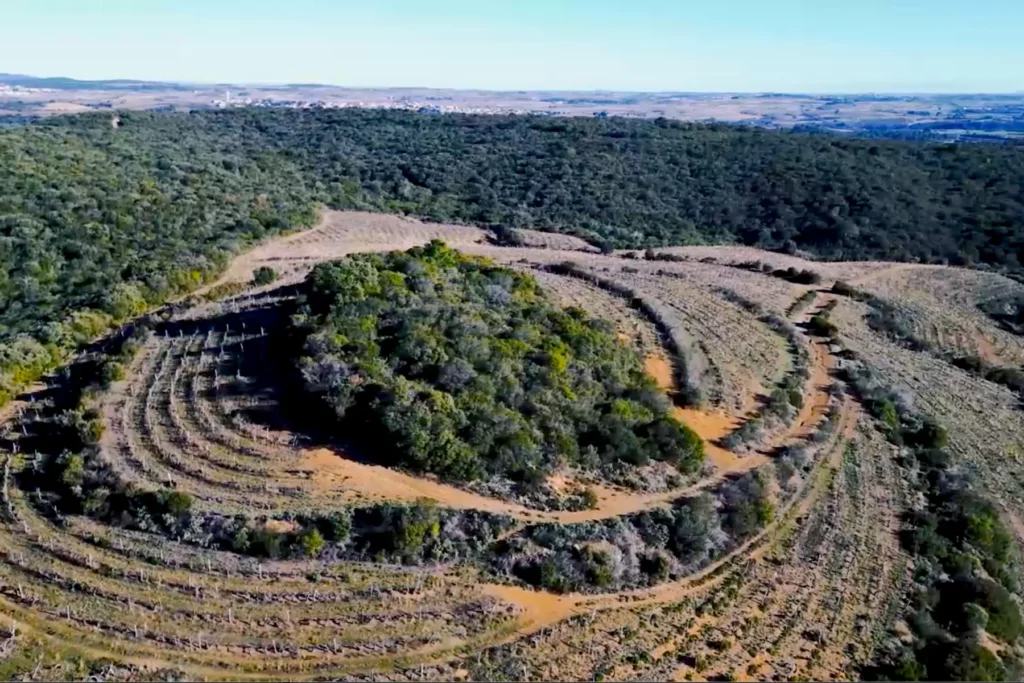 Chai Julip - La colline vue du ciel, ses vignes en anneaux autour du sommet boisé