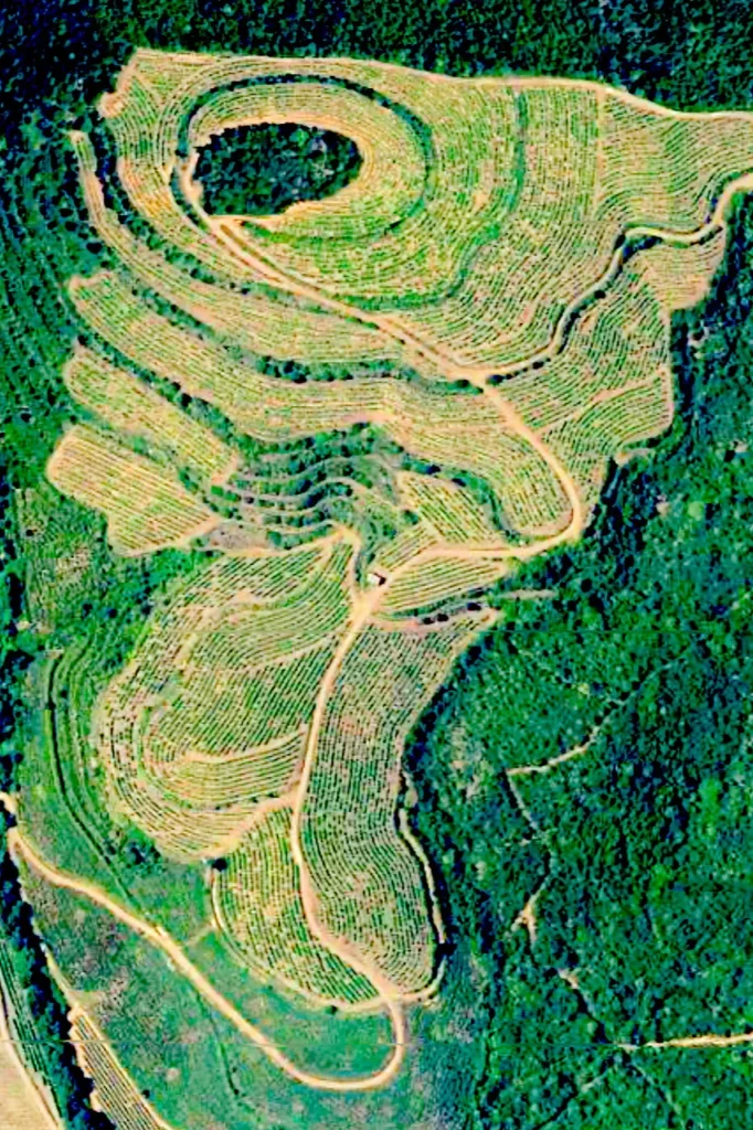 Chai Julip - Vue aérienne des vignes plantées en escargot autour de la colline