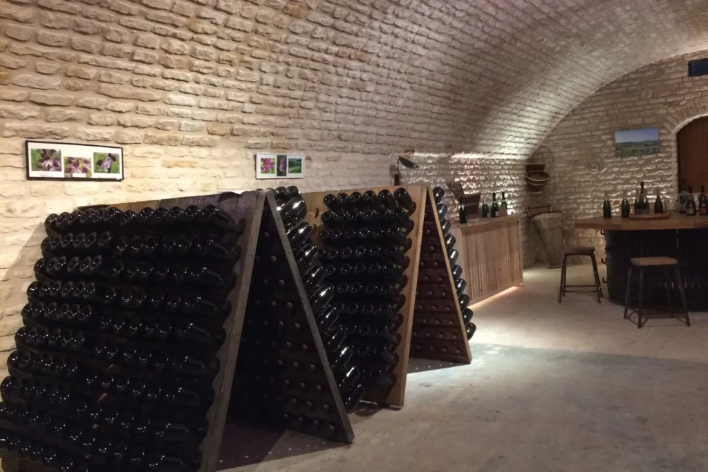 Champagne Cordeuil Père et Fille - Pupitres de remuage chargés de bouteilles dans la cave voûtée