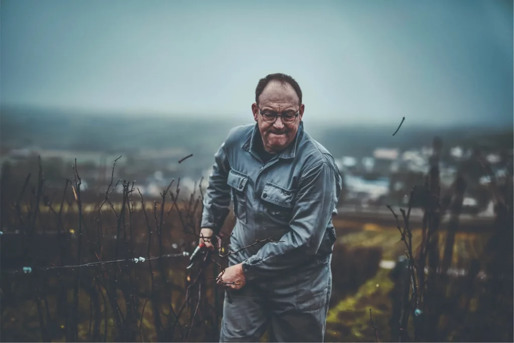 Champagne Daniel Moreau - Bastien Moreau dans ses vignes, le village en contrebas