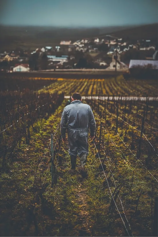 Champagne Daniel Moreau - Vigneron marchant dans les rangs au-dessus du village