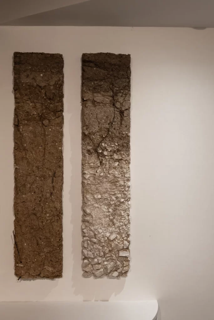 Champagne De Sousa - Deux profils de sol présentés au domaine, de la terre brune à la craie