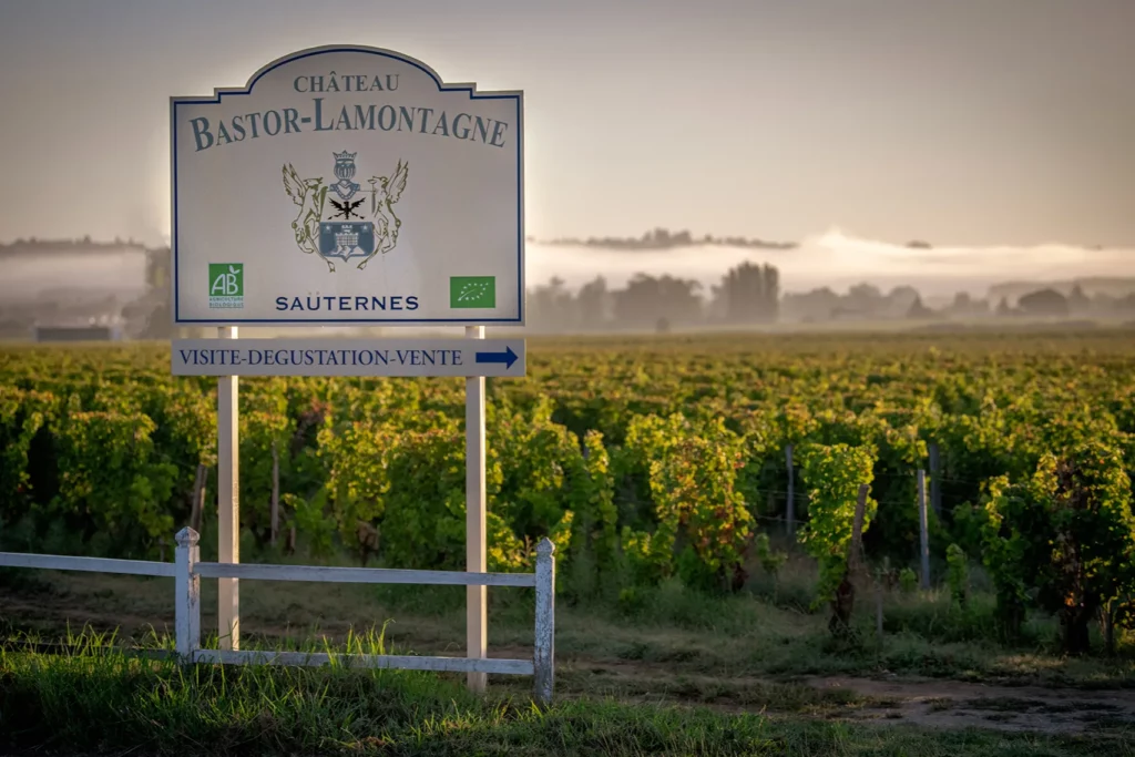 Château Bastor-Lamontagne - Panneau du château devant les vignes dans la brume du matin
