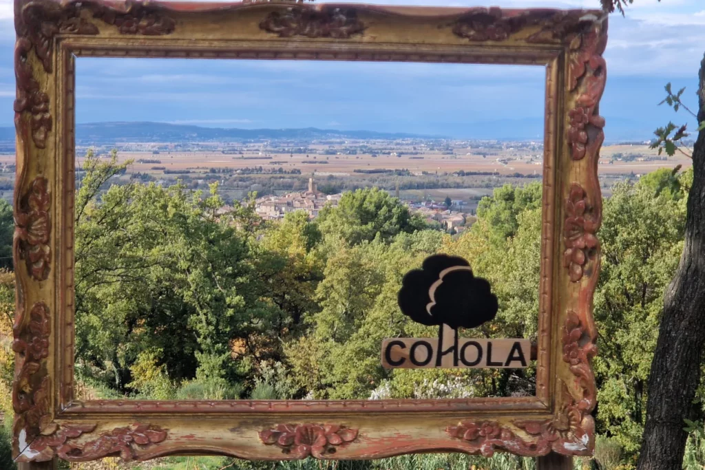 Château Cohola - Cadre doré installé au bord des vignes pour les visiteurs