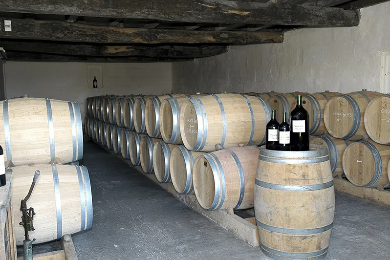 Château de Chainchon - Le chai et ses rangées de barriques
