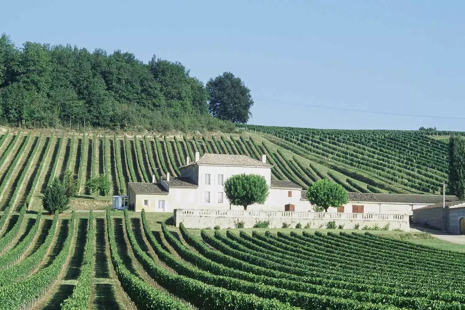 Château de Chainchon - Le château et ses coteaux de vignes à Castillon-la-Bataille