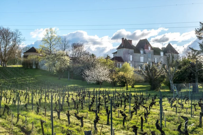 Château de Chelivette