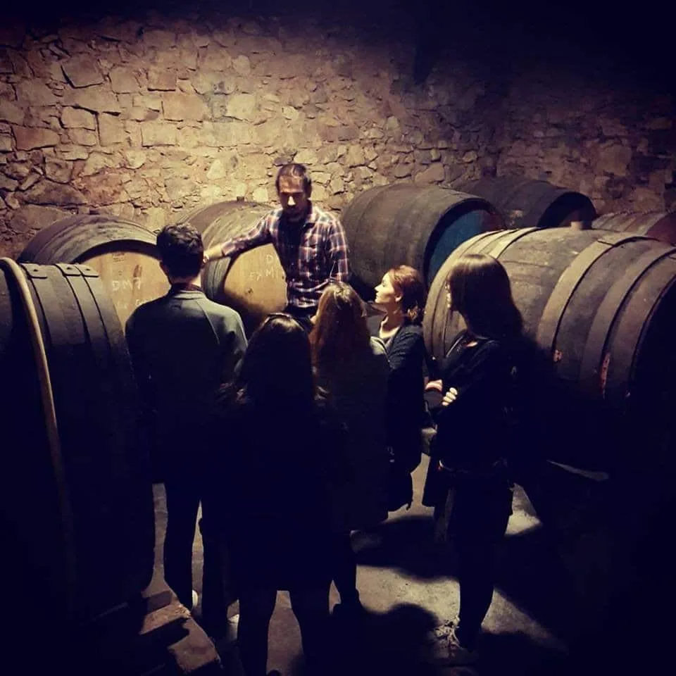 Château de la Bégude - Visite de la cave aux murs de pierre, entre les fûts de chêne