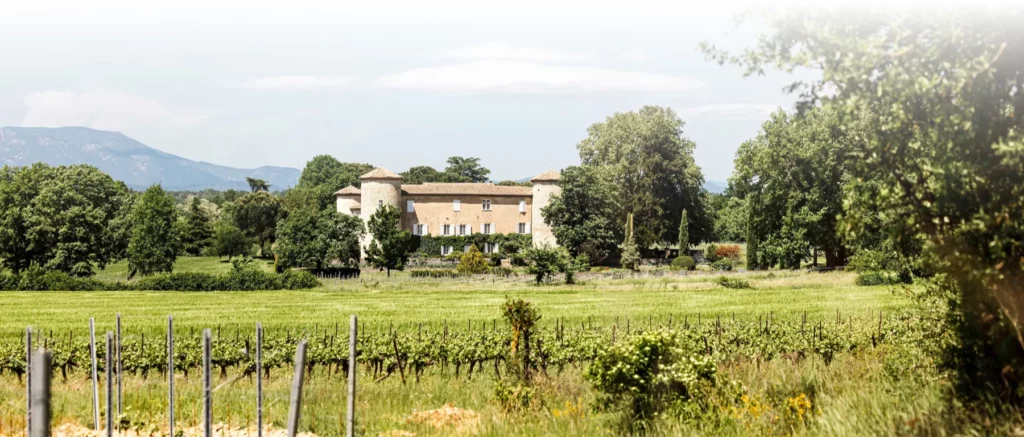 Château de la Selve - Le château au bout des rangs de vigne, dans le sud de l’Ardèche