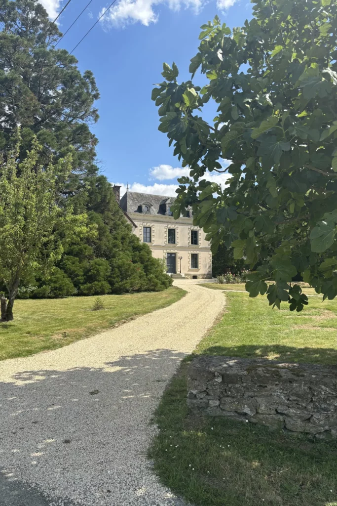Château de la Viaudière - L’allée de gravier qui mène à la façade du château, entre les arbres du parc à Champ-sur-Layon