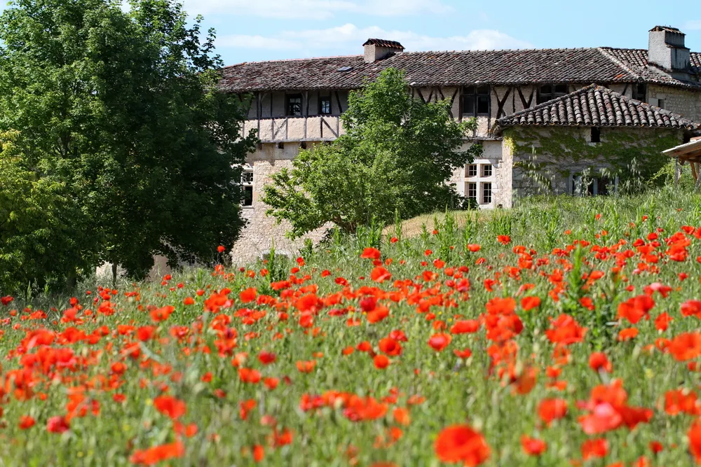 Château de Mayragues - Le château derrière un champ de coquelicots