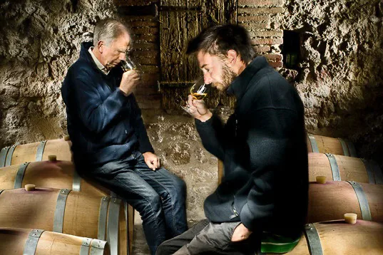 Château de Mayragues - Dégustation entre les barriques du chai
