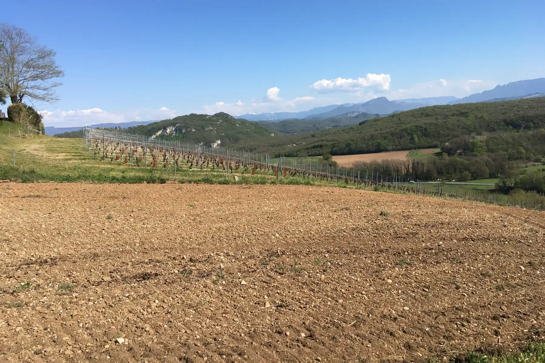 Château des Éclaz - Parcelle labourée avant plantation sur le coteau de Manicle, face à la vallée du Furans