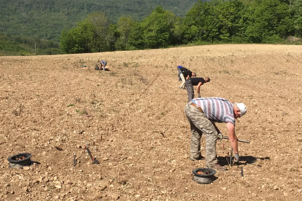 Château des Éclaz - Mise en place des premiers plants sur Manicle au printemps 2017
