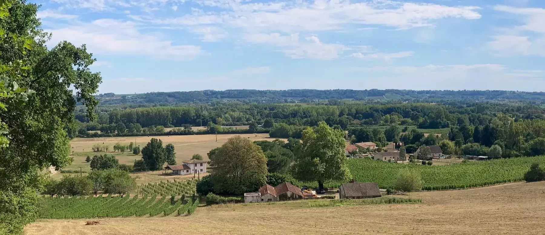 Château du Grand Roc - Panorama sur les vignes, les prairies et les bois en été
