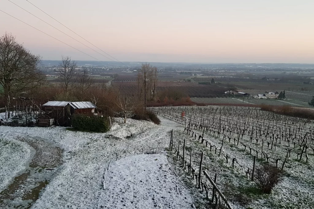 Château Feely - Le vignoble sous la neige en janvier 2023