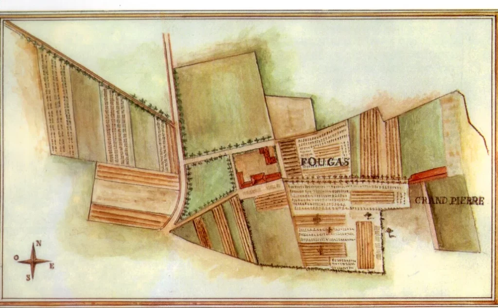 Château Fougas - Aquarelle d’arpenteur du XVIIIe siècle, le domaine d’un seul tenant
