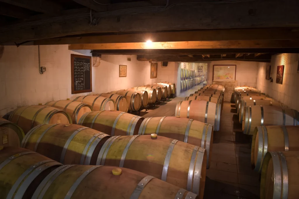 Château Fougas - Le chai à barriques des rouges
