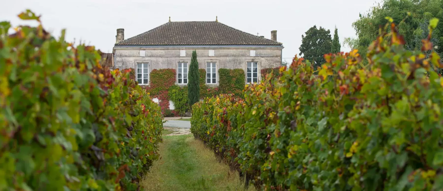 Château Fougas - La chartreuse entre les rangs de vigne à l’automne