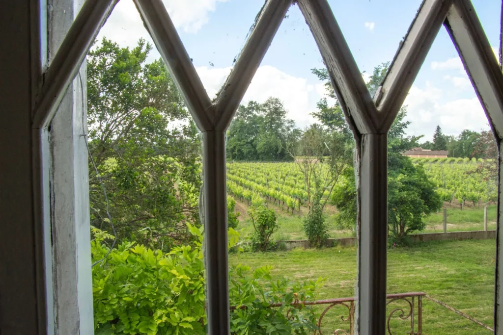 Château Fougas - Les vignes du plateau vues d’une fenêtre du château