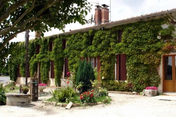 Château Gadet Terrefort - Façade couverte de vigne vierge