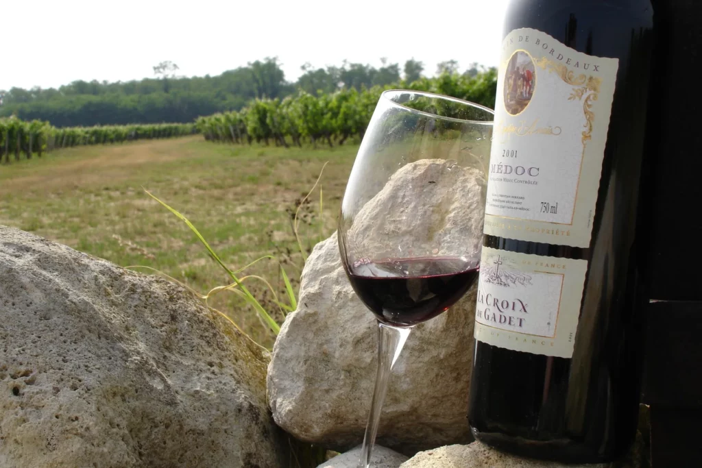 Château Gadet Terrefort - Un verre de La Croix de Gadet devant les vignes