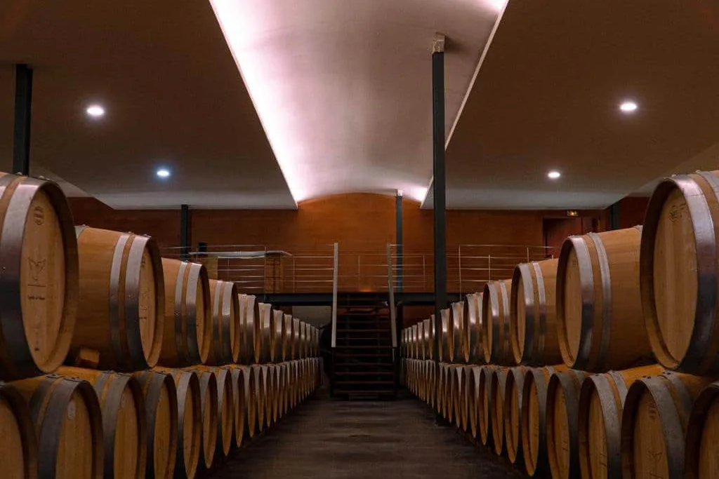 Château Paloumey - Allée du chai à barriques sous un plafond lumineux