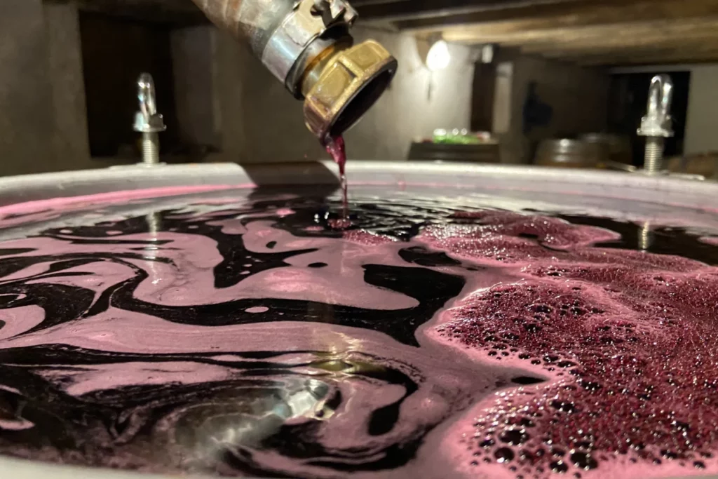 Château Tire Pé - Raisins en fermentation dans une cuve ouverte