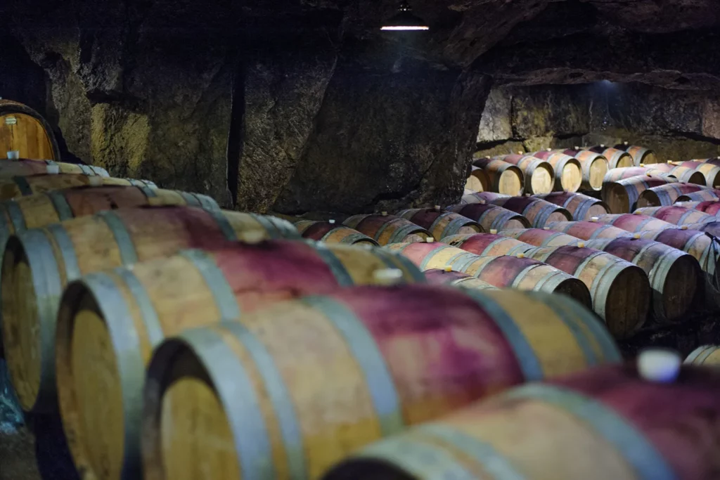 Château Yvonne - Rangées de barriques dans la cave creusée dans le tuffeau