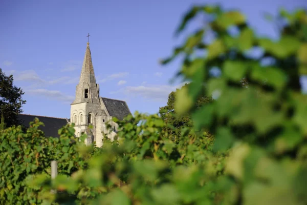 Château Yvonne - Le clocher de Parnay derrière le feuillage des vignes