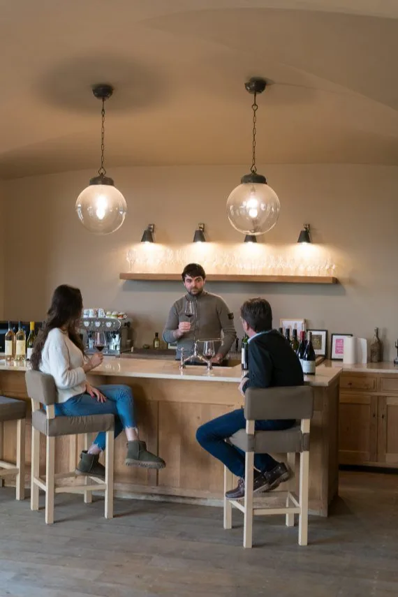 Clos Canarelli - Dégustation au comptoir du caveau